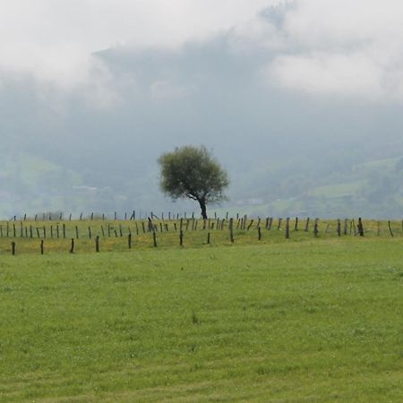 Vila Casa De Aldea Monga 9 En Nava, Asturias Exteriér fotografie