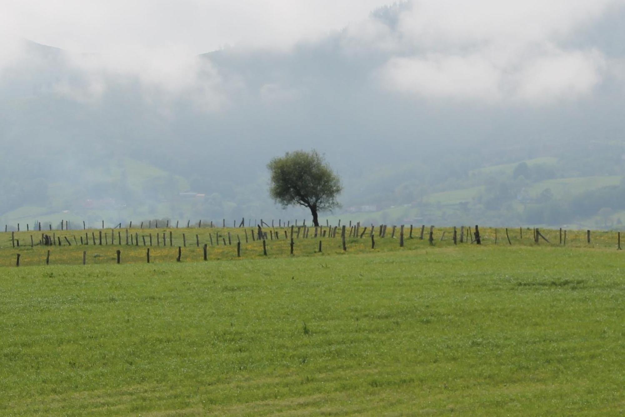 Vila Casa De Aldea Monga 9 En Nava, Asturias Exteriér fotografie
