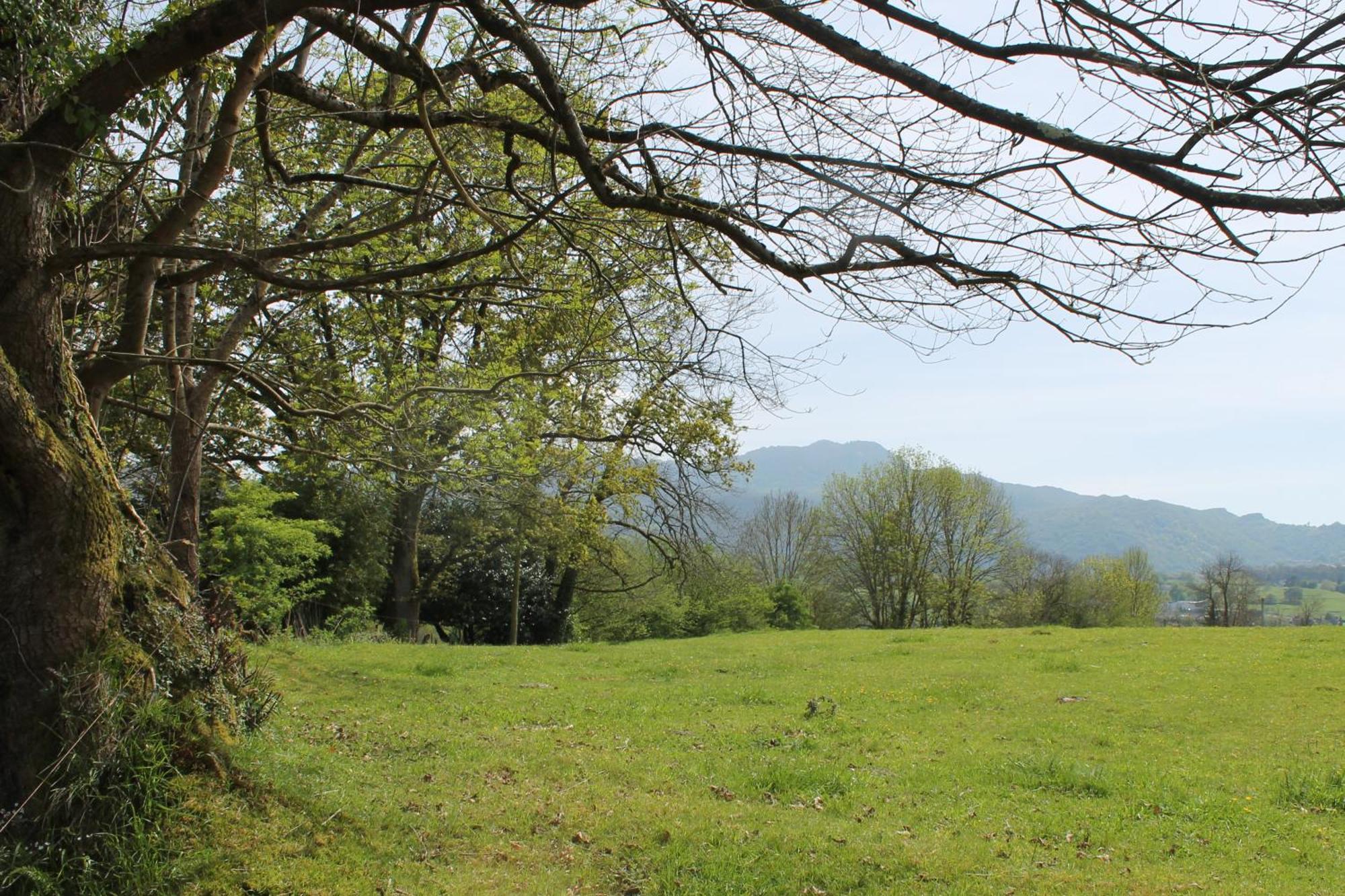 Vila Casa De Aldea Monga 9 En Nava, Asturias Exteriér fotografie