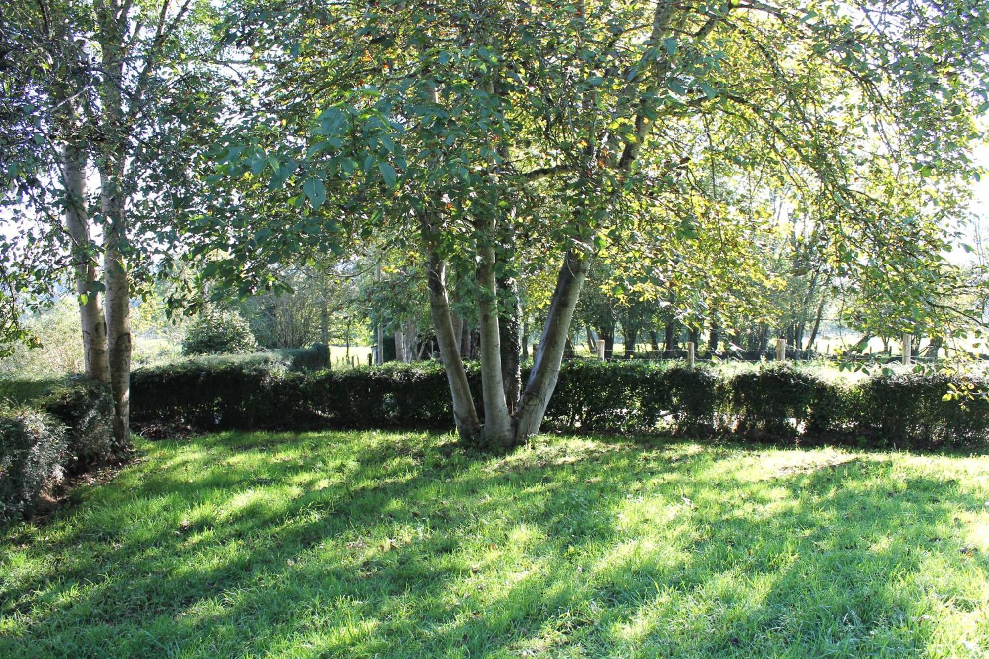 Vila Casa De Aldea Monga 9 En Nava, Asturias Exteriér fotografie